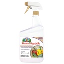 Alternate view