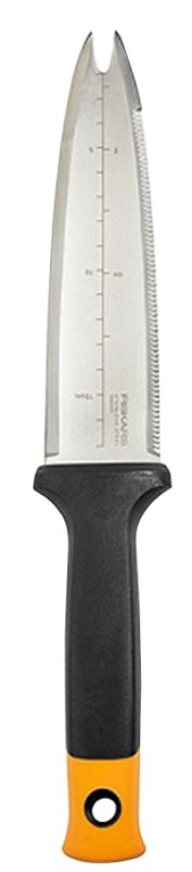 Alternate view