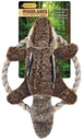 Alternate view