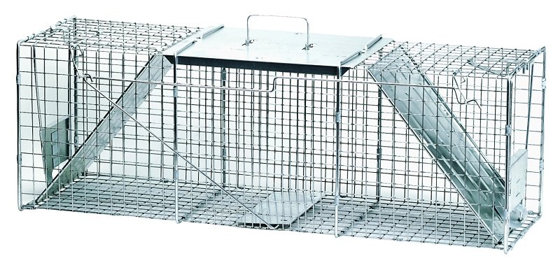 Alternate view