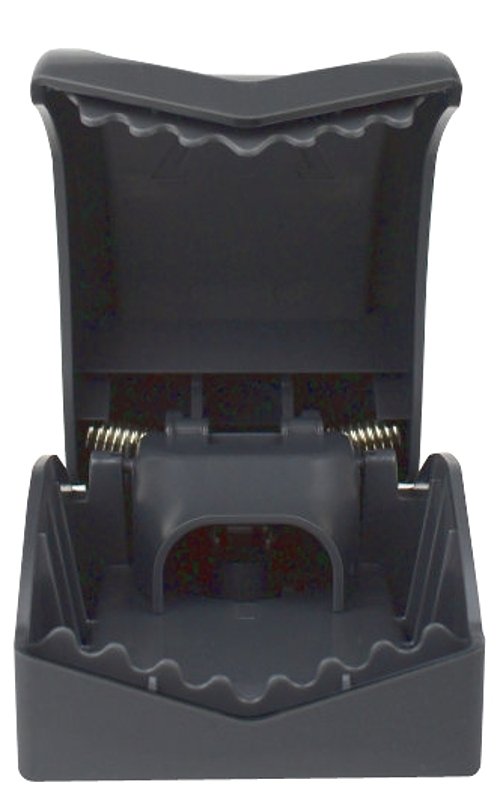 Alternate view