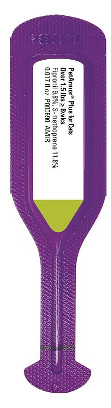Alternate view