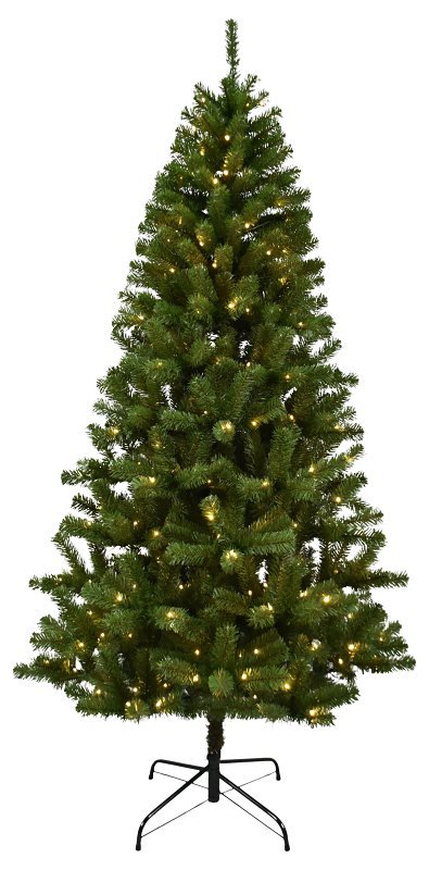 Alternate view