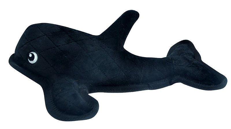 Alternate view