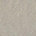 Alternate view
