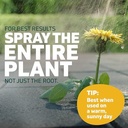 Spruce Snap & Spray Refill Broadleaf Weed and Vegetation Killers RTU Liquid 64 Fl. Oz