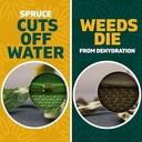 Spruce Snap & Spray Refill Broadleaf Weed and Vegetation Killers RTU Liquid 64 Fl. Oz