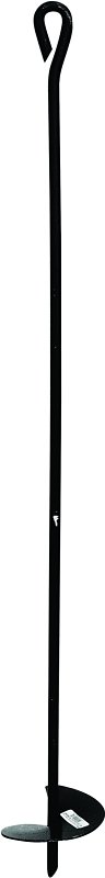 Alternate view