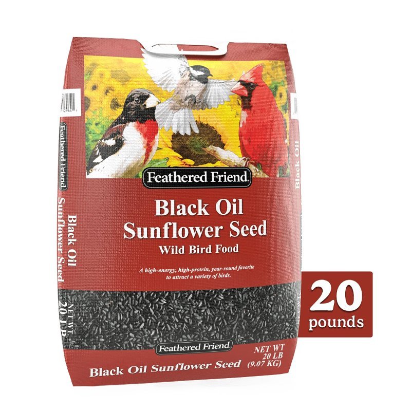FOOD BIRD SNFLWR BLK OIL 20LB 