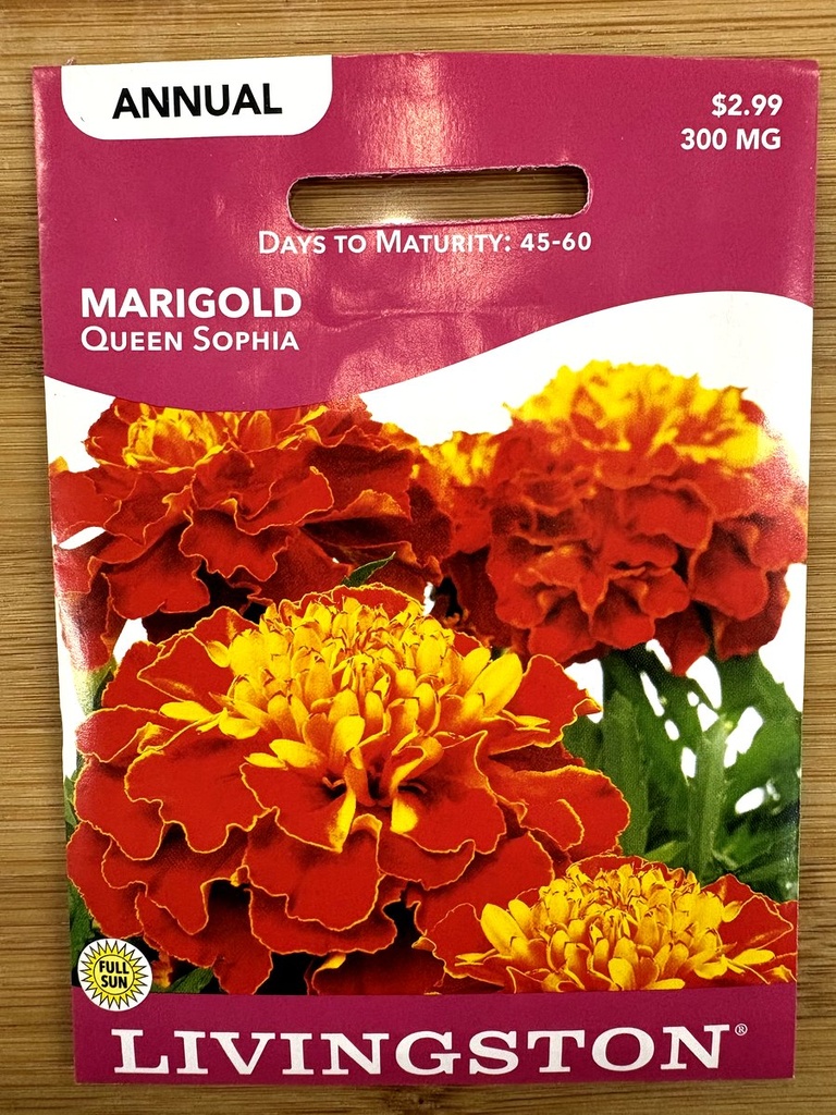 LV MARIGOLD - QUEEN SOPHIA