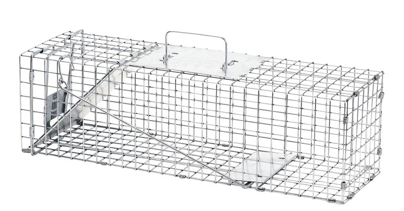 CAGE TRAP 1 DOOR 24 X 7 X 7   