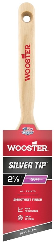BRUSH ANG SASH POLYESTER 2.5IN