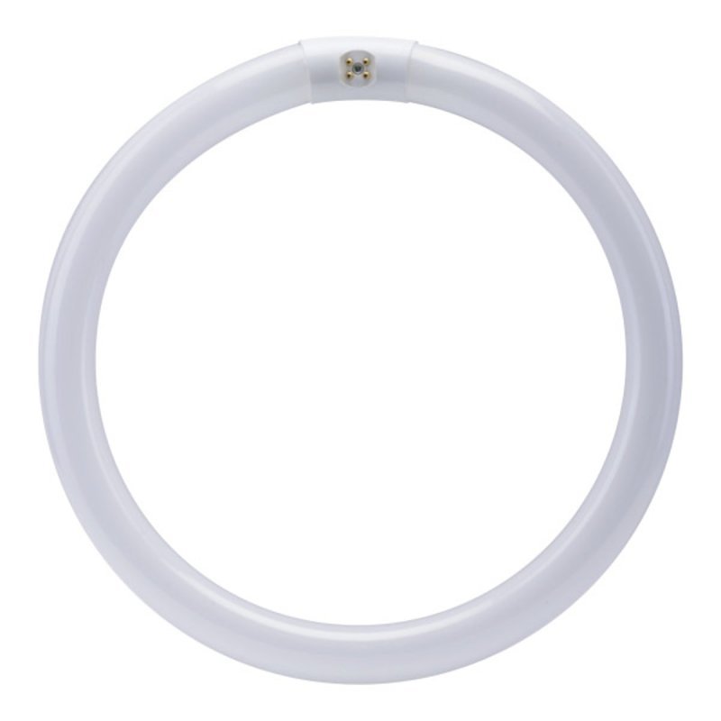 BULB FLUOR CIR WW 4PN 12IN 32W