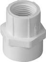 ADAPTER FMLE PVC 3/4SLPX1/2FIP