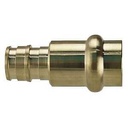 ADAPTER PEX-AXPRESS 1/2X1/2IN 