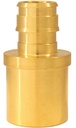ADAPTER REDUCE 1/2F1960X3/4SWT