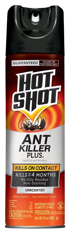 AEROSOL ANT KILLER SPRAY 16OZ 