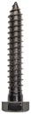 BOLT LAG BLACK 1/2X3IN        