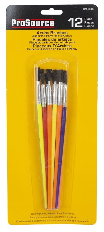 BRUSH CRAFT PAINT 12 PIECE SET