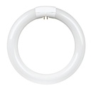 BULB CIRC FLUOR T9 6500K 22W  