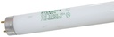 BULB FLUOR DAYLT 48IN T8 32W  
