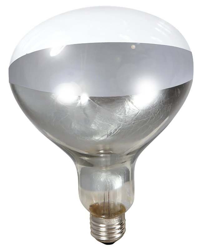 BULB FOR HEAT LAMP CLEAR 250W 