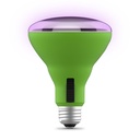 BULB GROW PLNT LED BR30 4WY 9W