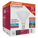 BULB LED PAR38 DAYLIGHT 75W   