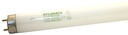 BULB LT FLUOR 32W MEDBIPINCWHT