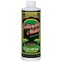 CAL-MAG SUPPLEMENT CNCNTRT PT 