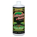 CAL-MAG SUPPLEMENT CNCNTRT QT 