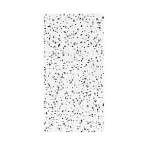 CEILING PNL RADAR 2X4FTX5/8IN 