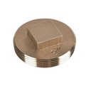 CLEAN OUT PLUG BRASS 2IN      