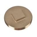 CLEAN OUT PLUG BRASS 3IN      