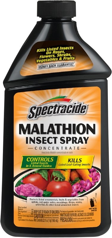 CONCENTRATE SPRAY INSECT 32OZ 