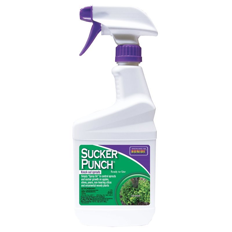 CONTROL WEED SCKR PNH RTU 16OZ