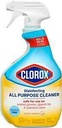DISNFCTN AP CLEANER LEMON 32OZ