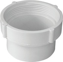 DRAIN CLEANOUT BODY PVC 6 IN  