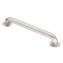 EXPOSED SCREW 24IN SS BATH GRI