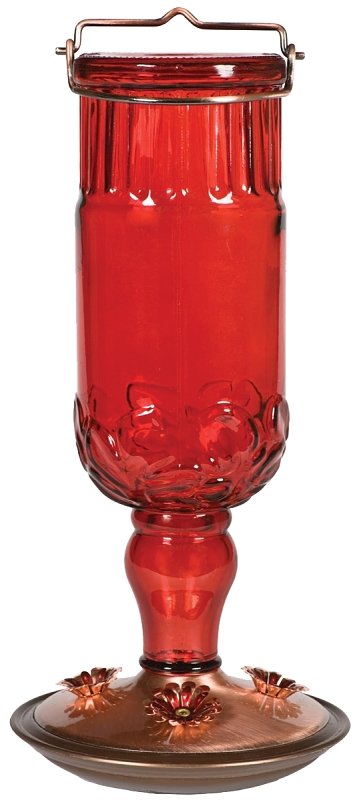 FEEDER HUMMINGBIRD ANT BT 24OZ