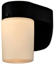 FIXT JELLY JAR LED EXT BRZ D2D