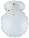 FIXTURE CEIL 1LT OPAL/CHN WHT 