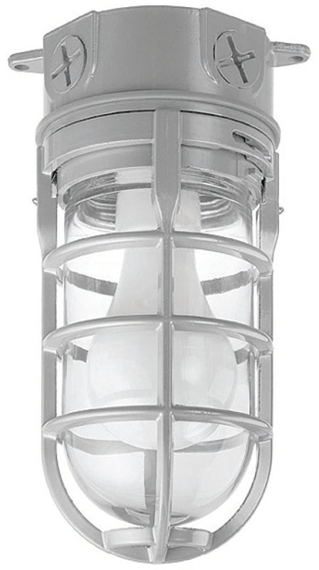 FIXTURE CEIL 1LT WATERPRF CAGE