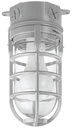 FIXTURE CEIL 1LT WATERPRF CAGE