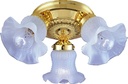 FIXTURE CEIL 3LT FROS TULIP PB