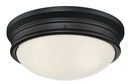 FIXTURE LT FMNT MATTE BLK 2LT 