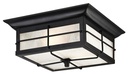 FLUSH TXTR SQ BLK W/F 2LT 11IN