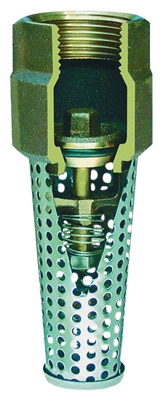 FOOT VALVE 1-1/4IN            