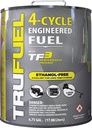 FUEL 4-CYCLE 4.75 GALLON      
