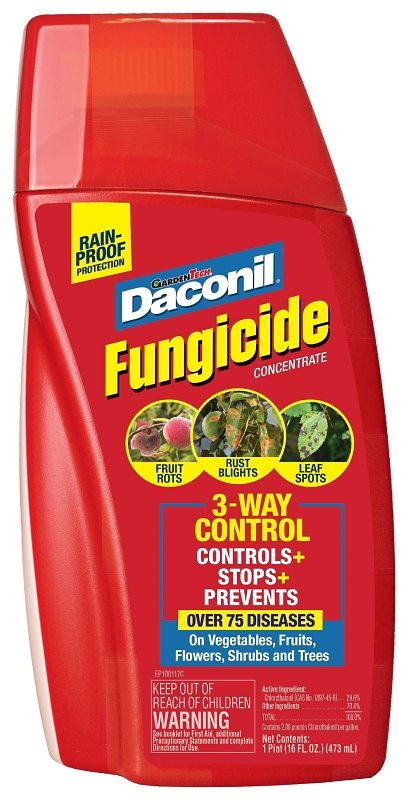 FUNGICIDE CONC DACONIL 16OZ   